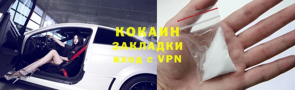стафф Аркадак